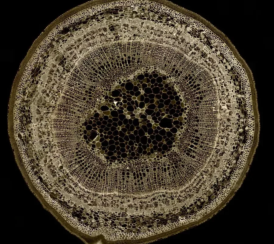 image-1280x800-c
